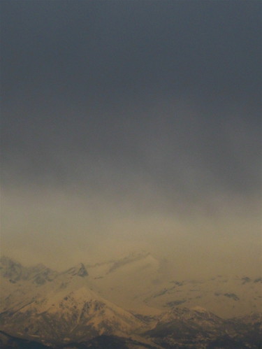 acora neve, 1