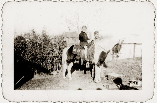 Horse and boy