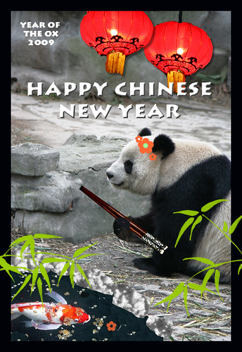 HAPPY CHINESE NEW YEAR 2009!!!