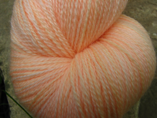 Apricot - Tabby Lace