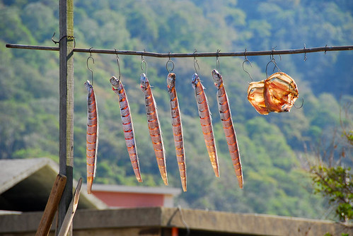 曬魚乾的季節到了，村民們紛紛把漁獲曬在架上