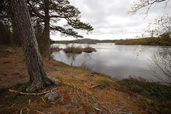 Lemmenjoen kansallispuisto – Suomi