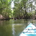 Kayaking in the jungle in Puerto Jimenez