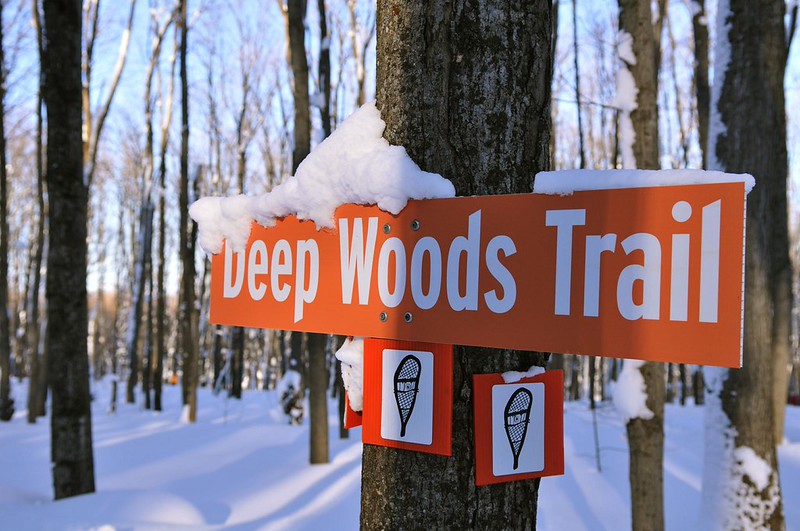 Snowshoeing At Scenic Caves Nordic Centre • GAIL AT LARGE