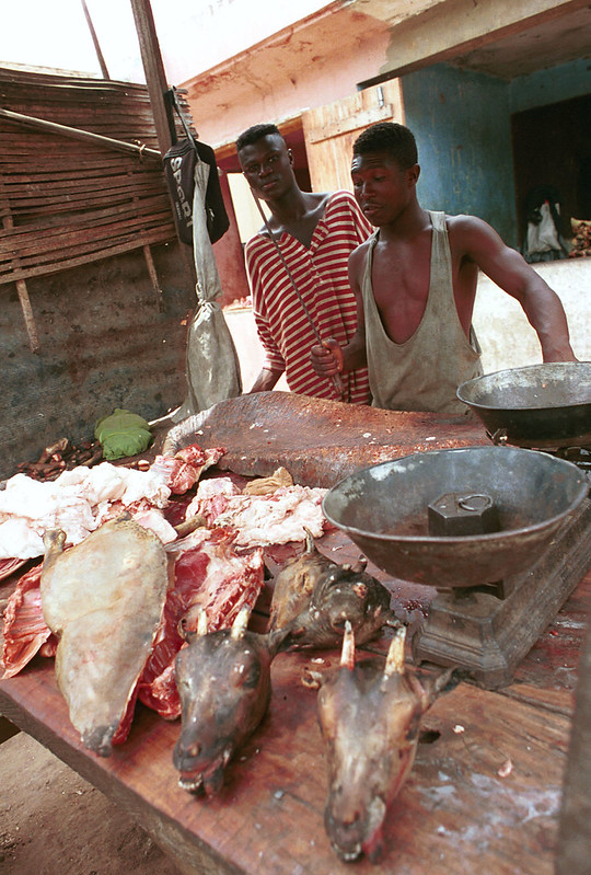 Togo West Africa Street Market Palimé formerly known as Kpalimé is a city in Plateaux Region Togo near the Ghanaian border 23 April 1999 000 Goat Head & Meat<br/>© <a href="https://flickr.com/people/41087279@N00" target="_blank" rel="nofollow">41087279@N00</a> (<a href="https://flickr.com/photo.gne?id=3237875604" target="_blank" rel="nofollow">Flickr</a>)