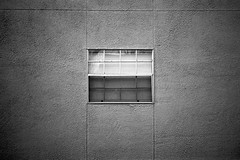 window (by xgray)