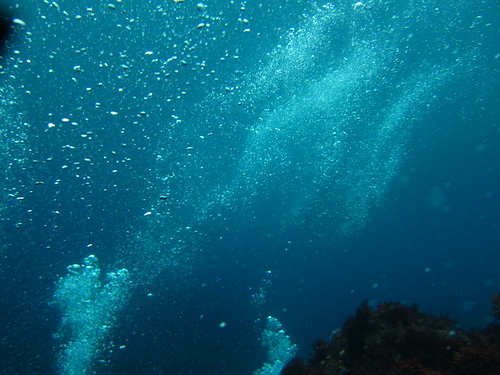 流れが激早