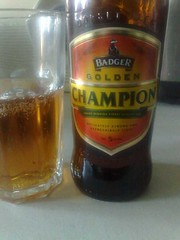 Badger golden champion