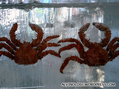 Frozen crabs