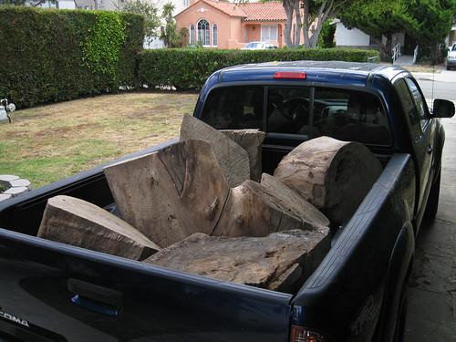 huge Eucalyptus logs in my Toyota Tacoma
