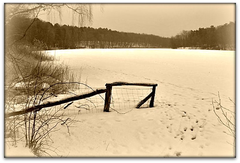 Winter auf der Krummen Lanke<br/>© <a href="https://flickr.com/people/20971059@N03" target="_blank" rel="nofollow">20971059@N03</a> (<a href="https://flickr.com/photo.gne?id=3298089022" target="_blank" rel="nofollow">Flickr</a>)