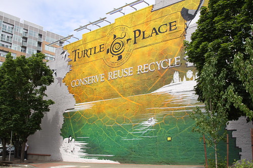 Turtle Place