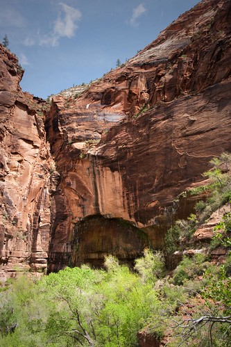 Weeping Rock from Hidden Canyon Trail @ Zion National Park
