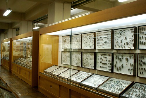 長岡市立科学博物館