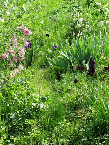 primavera 2010, 3.04.010, 17