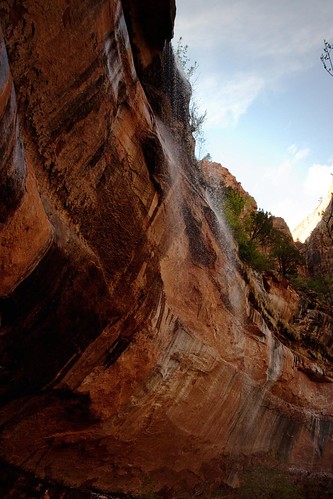 Lower Emerald Pool @ Zion National Park