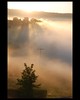 misty sunrays ..sun beam kisses :-)