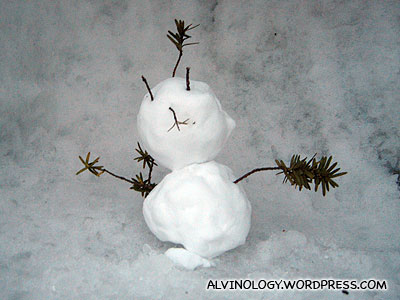 Another sad-looking snowman