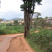 View from Forestry University, Yaoundé campus, Cameroon