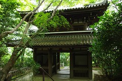 �R�萹�V�ω����m����(2)