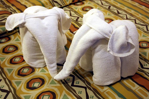 _MG_7007 - Two Chaba Towel Elephants Welcoming Us