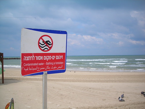 tel aviv beach polluted photo