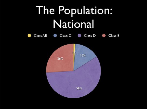 demographics national