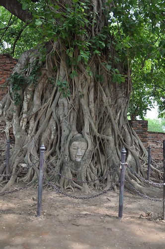 wat maha that ayutthaya unesco world heritage site