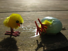 !Splat!