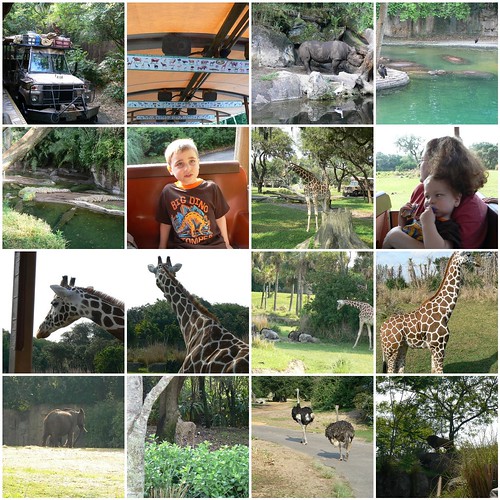 Photos from our time on the Savannah