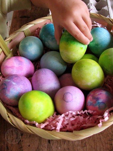 arranging the eggs