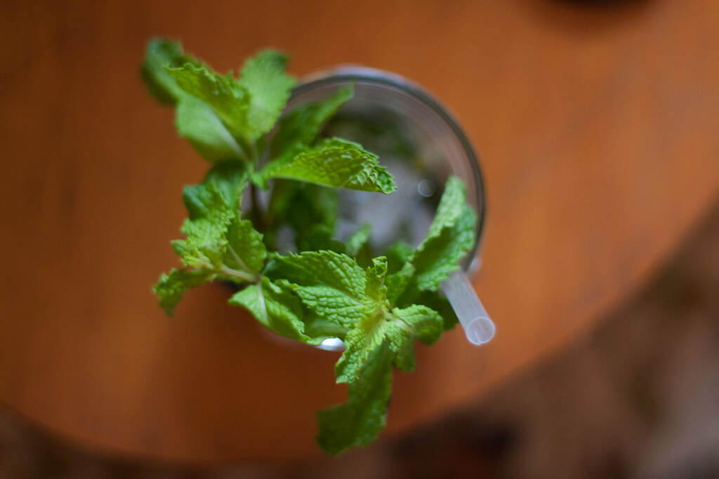 Kentucky Derby mint julep cocktail garnished with leafy fresh mint sprigs on a wooden table.