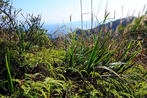 DSC_6920　火炎山