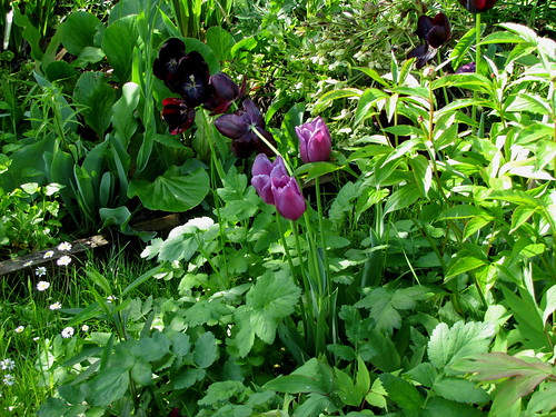 primavera 2010, 3.04.010, 5