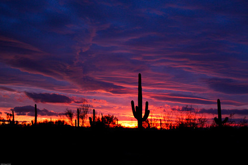 Sunset in AZ