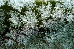 Frost crystals on car window