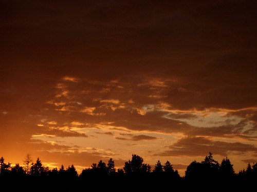 Spectacular Seattle Sunset