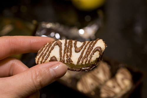 Swiss Chocolate Biscuit