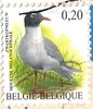 BE-27115(Stamp 4)