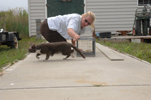 Shelly Kotter of Best Friends on the ground with TNR