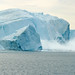 Calving Ice Berg in Illulissat Icefjord
