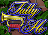 Online Tally Ho Slots Review