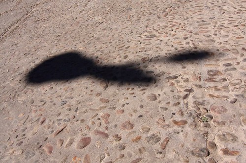 Sombra de campana en el suelo