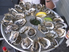 Hogs Island in San Francisco - Happy Hour $1 Oysters