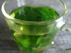Blurred glass of mint tea