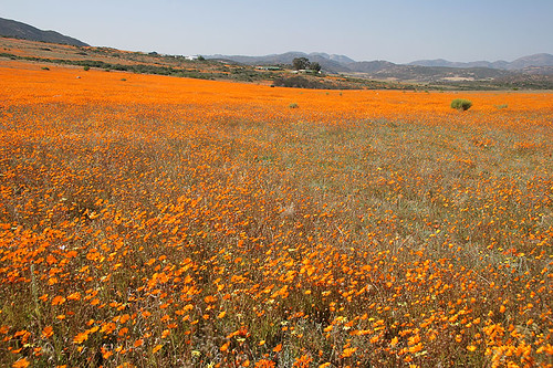 Namaqua National Park