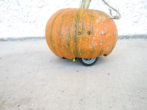 Rovin pumpkin - 01
