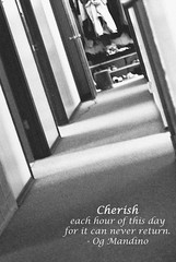 6/365 -- Cherish (by Knit Girl2006)