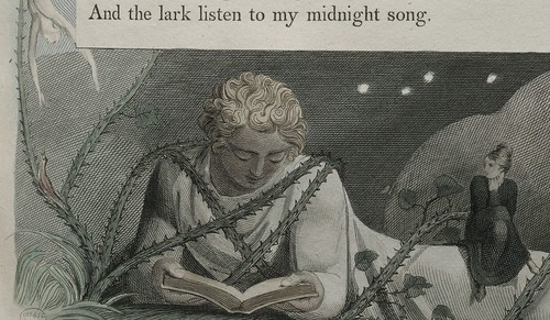 and the lark listen to my midnight song..