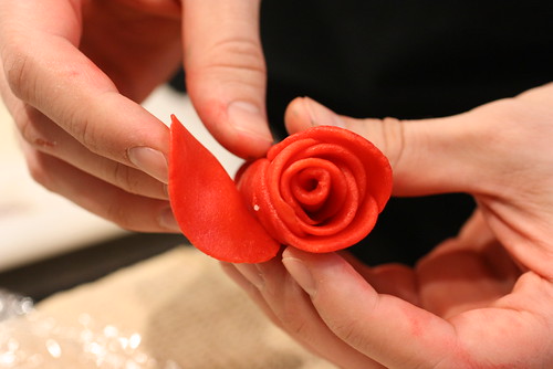 Wrapping Rose Petals
